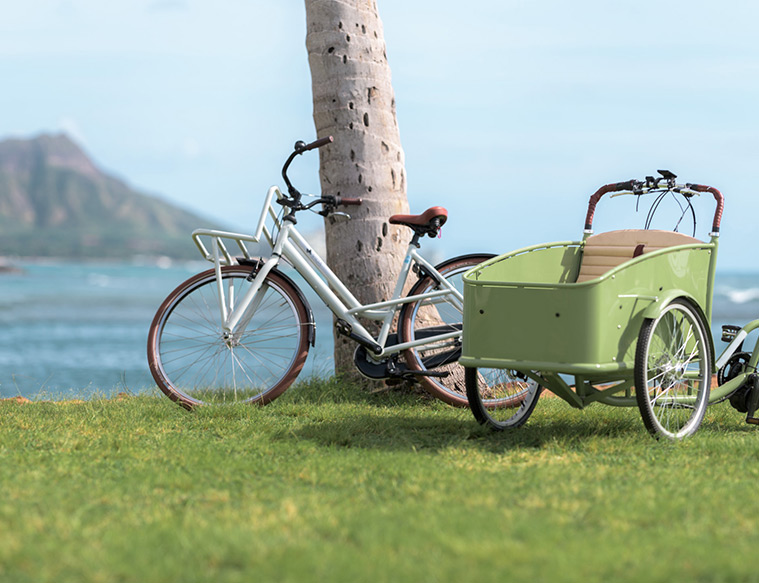 Magic Island Featured Image